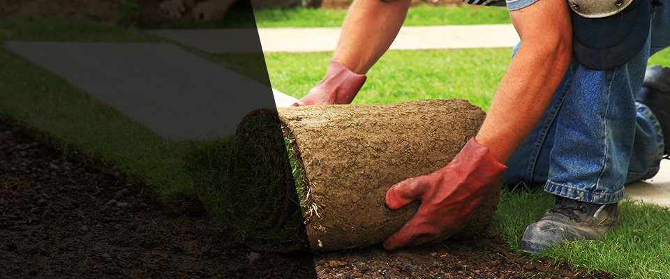 Hickory Hills Landscapers